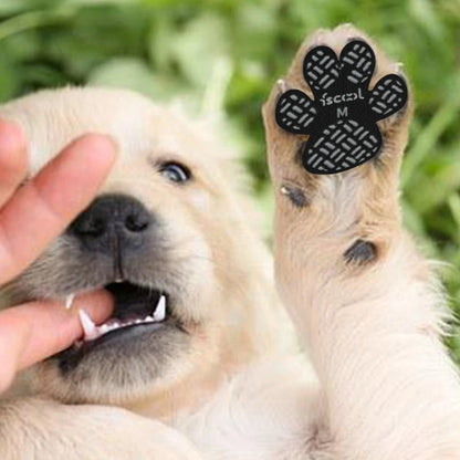 PawGrip™ – Anti-Slip Traction Pads